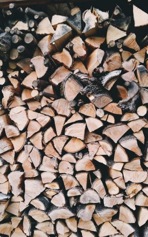 firewood, wood Wallpaper 1752x2800