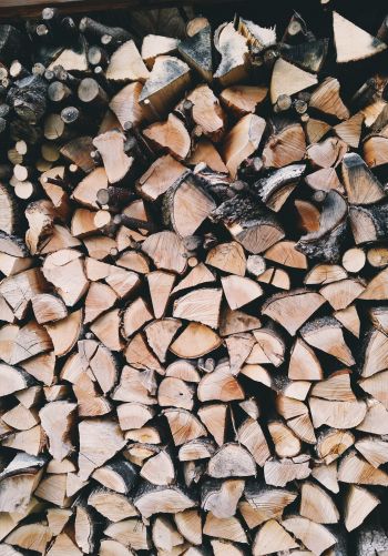 firewood, wood Wallpaper 1668x2388