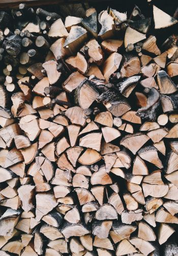 firewood, wood Wallpaper 1640x2360