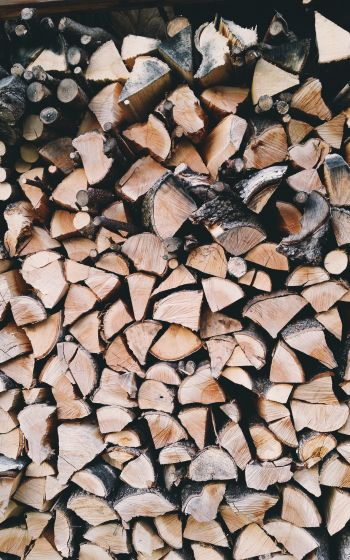 firewood, wood Wallpaper 1200x1920