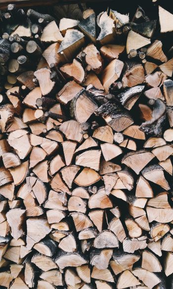 firewood, wood Wallpaper 1200x2000