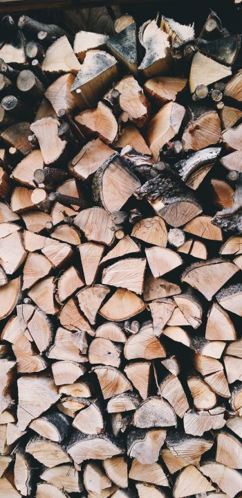firewood, wood Wallpaper 1440x2960
