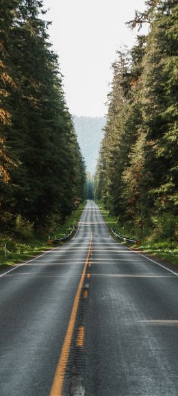 road, forest Wallpaper 1080x2400
