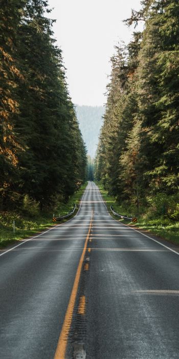 road, forest Wallpaper 720x1440