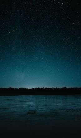 starry night, lake Wallpaper 600x1024