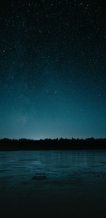 Обои 1440x2960 звездная ночь, озеро