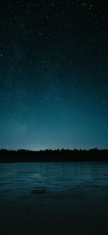 Обои 1125x2436 звездная ночь, озеро