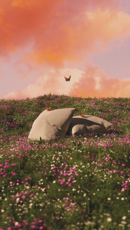 flower field, pillows Wallpaper 640x1136