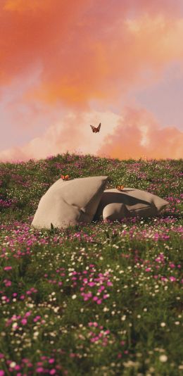 flower field, pillows Wallpaper 1440x2960