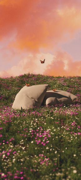 flower field, pillows Wallpaper 1440x3200