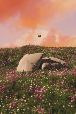 flower field, pillows Wallpaper 640x960