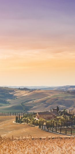 Italy, fields Wallpaper 1080x2220
