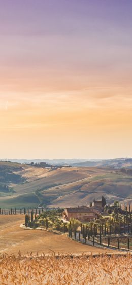 Italy, fields Wallpaper 1080x2340