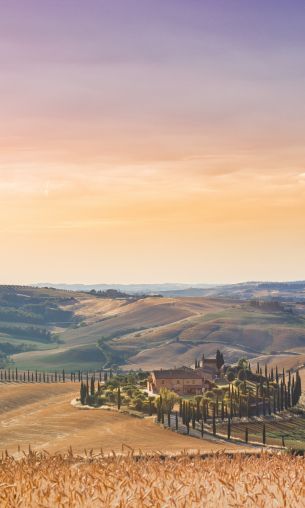 Italy, fields Wallpaper 1200x2000