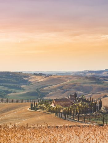 Italy, fields Wallpaper 1668x2224