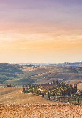 Italy, fields Wallpaper 1640x2360
