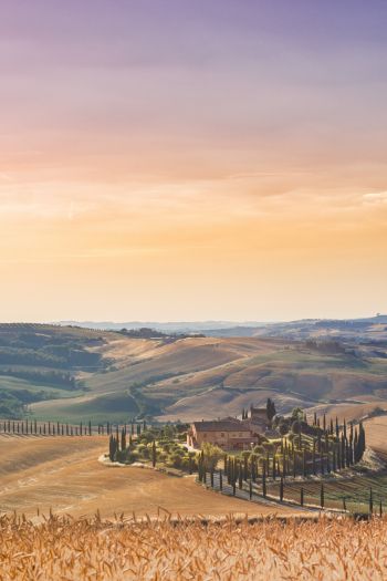 Italy, fields Wallpaper 640x960