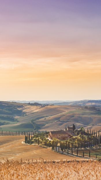Italy, fields Wallpaper 640x1136