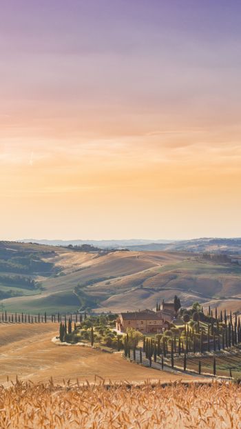 Italy, fields Wallpaper 1080x1920