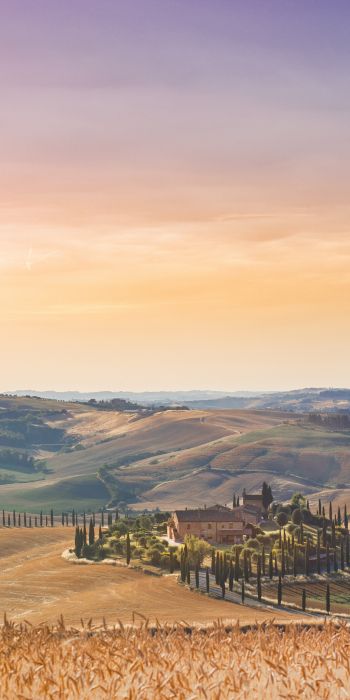 Italy, fields Wallpaper 720x1440