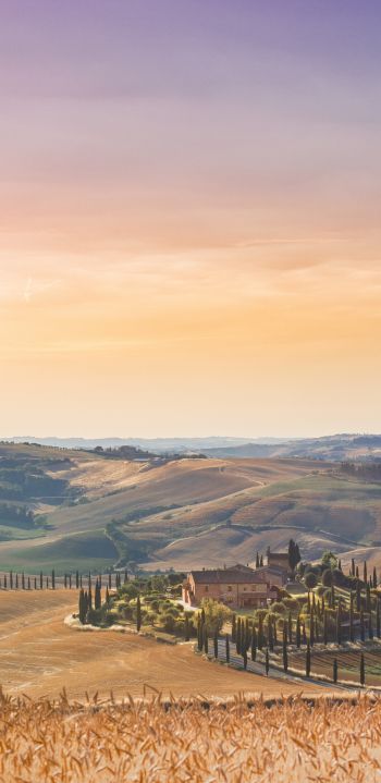 Italy, fields Wallpaper 1440x2960
