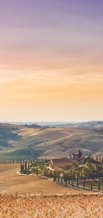 Italy, fields Wallpaper 720x1520