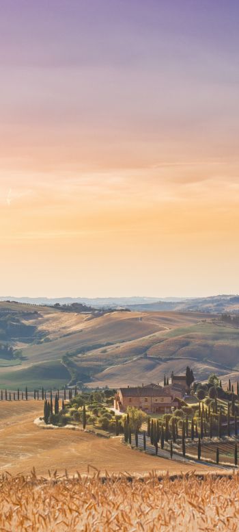 Italy, fields Wallpaper 1440x3200