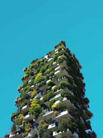 house, plants, sky Wallpaper 1536x2048