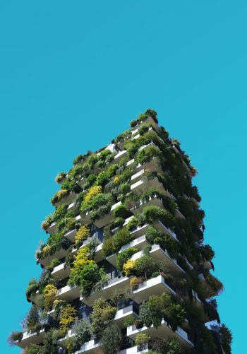 house, plants, sky Wallpaper 1668x2388