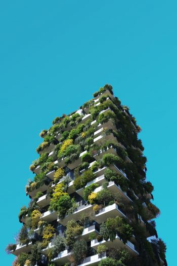 house, plants, sky Wallpaper 640x960