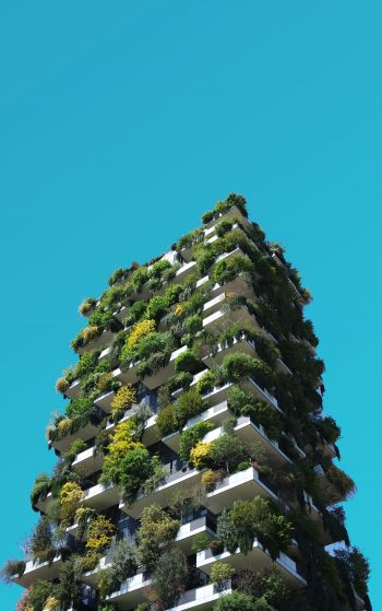 house, plants, sky Wallpaper 1752x2800