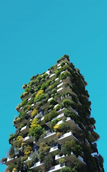 house, plants, sky Wallpaper 1200x1920