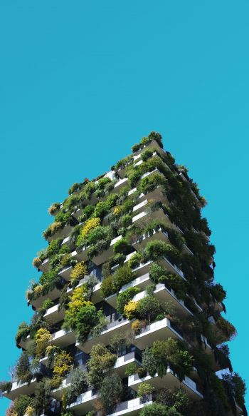 house, plants, sky Wallpaper 1200x2000