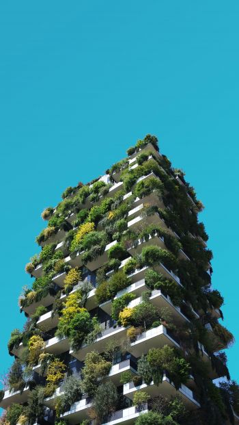 house, plants, sky Wallpaper 640x1136