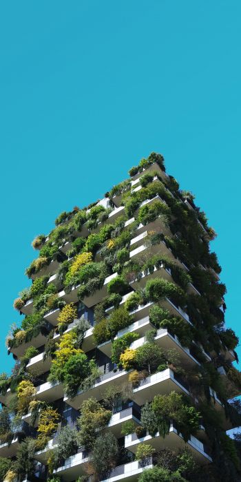 house, plants, sky Wallpaper 720x1440
