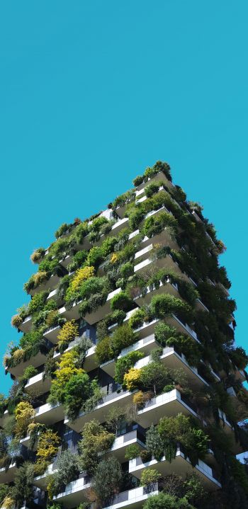 house, plants, sky Wallpaper 1440x2960