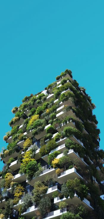 house, plants, sky Wallpaper 1440x3040