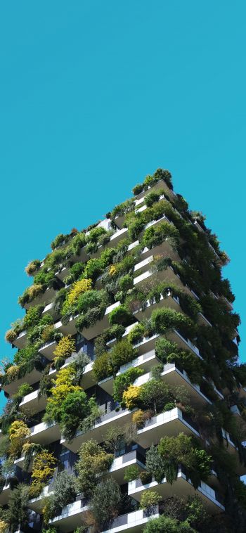 house, plants, sky Wallpaper 1080x2340