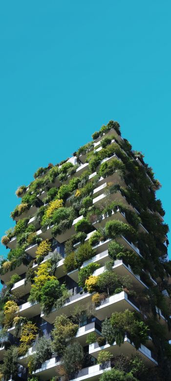 house, plants, sky Wallpaper 720x1600