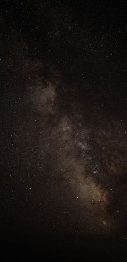 milky way, starry night Wallpaper 1080x2220