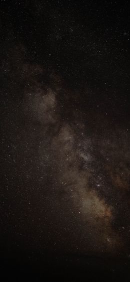 milky way, starry night Wallpaper 1170x2532