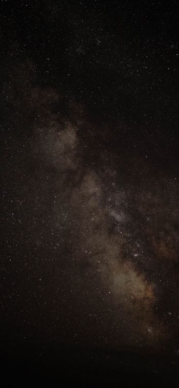 Обои 828x1792 млечный путь, звездная ночь