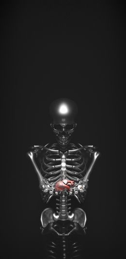 skeleton, 3D modeling Wallpaper 1440x2960