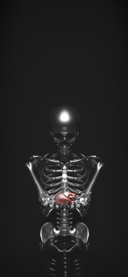 skeleton, 3D modeling Wallpaper 1170x2532