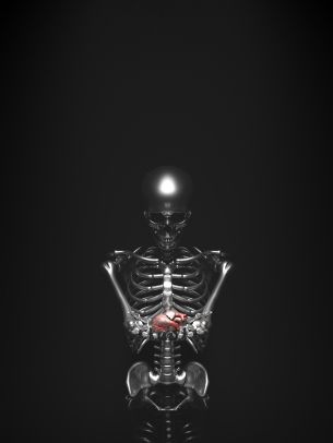 skeleton, 3D modeling Wallpaper 2048x2732