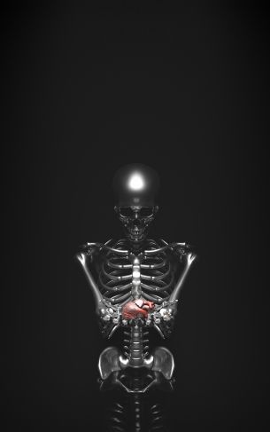 skeleton, 3D modeling Wallpaper 1752x2800