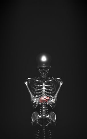 skeleton, 3D modeling Wallpaper 800x1280