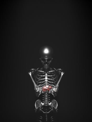 skeleton, 3D modeling Wallpaper 1536x2048