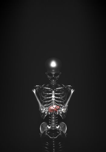 skeleton, 3D modeling Wallpaper 1668x2388