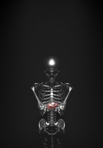 skeleton, 3D modeling Wallpaper 1640x2360